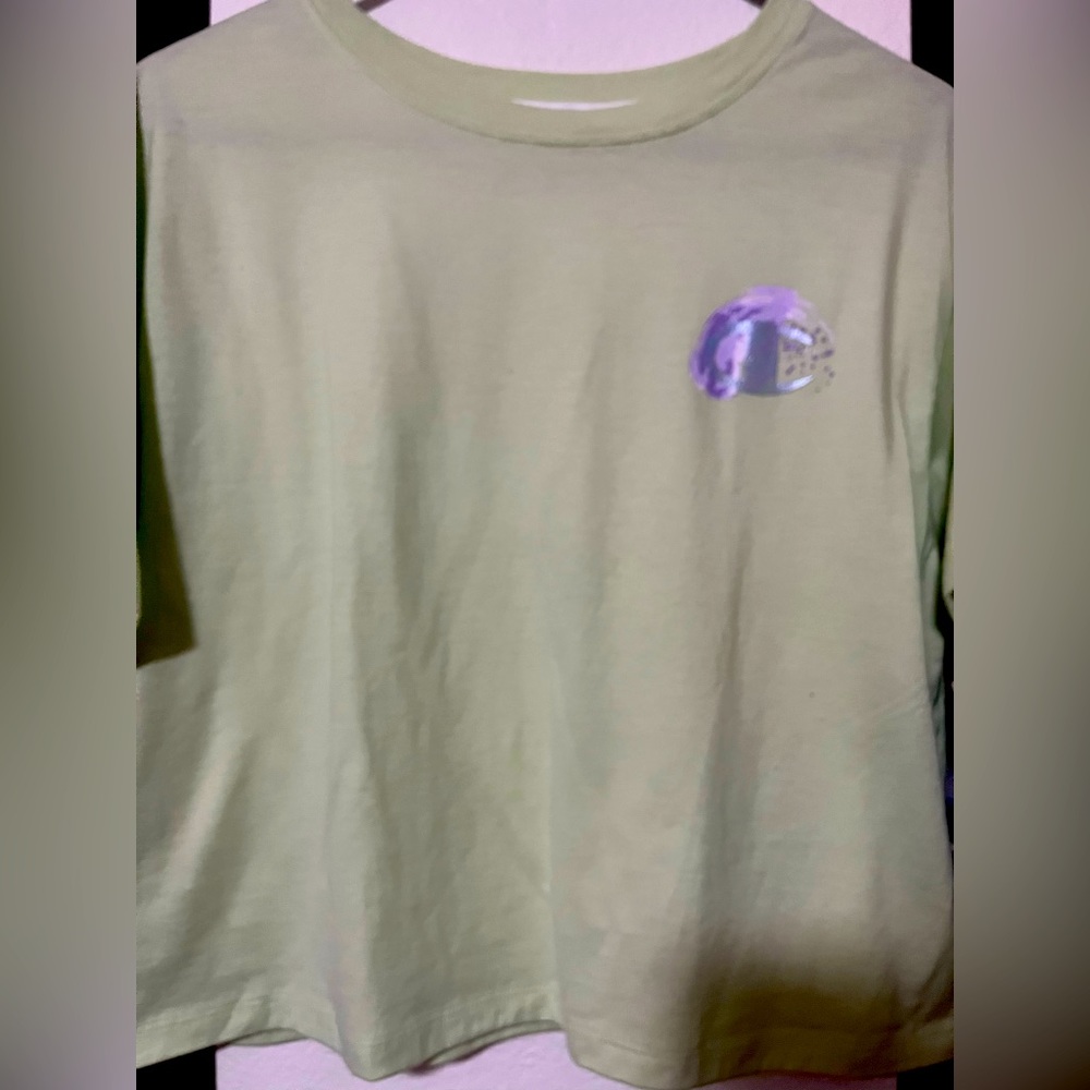 Champion crop top, mint color , new with tags